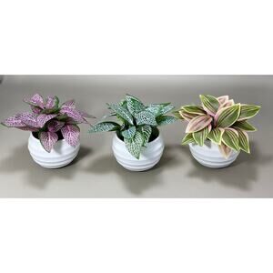 3 Small Artificial Colorful Potted Plants In White Planters. NEW